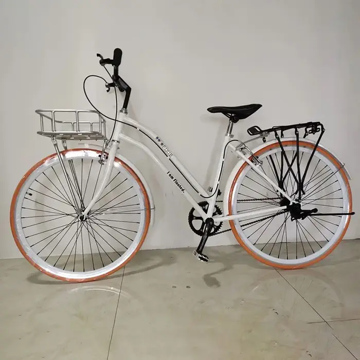 Panier de vélo 700C à vitesse unique