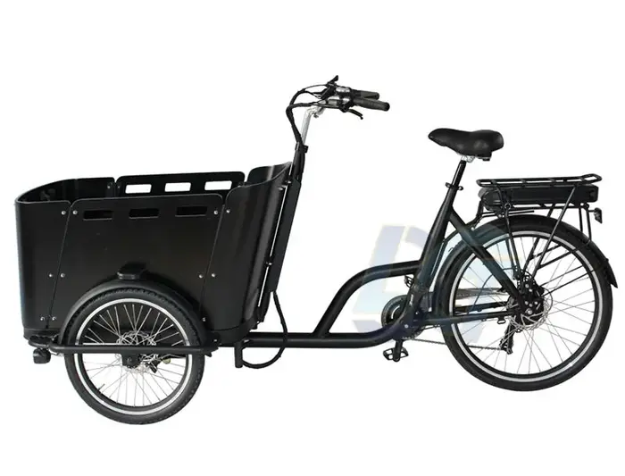 Vélo cargo électrique à 3 roues de 250 watts