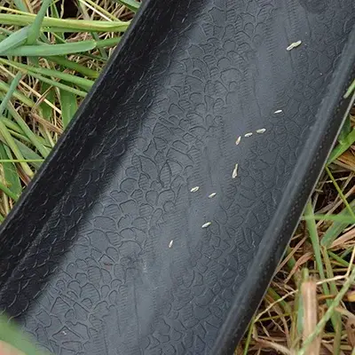 Pneu de Vélo de Route à Contact Continu