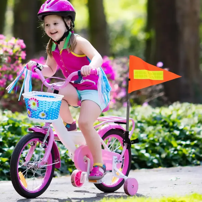 Drapeau de vélo avec poteau pour la sécurité