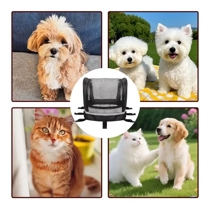 Panier pour chien pour vélo, porte-animaux pour guidon de vélo avec fenêtre, panier pour petit chien pour les loisirs quotidiens, les trajets domicile-travail et les activités de plein air