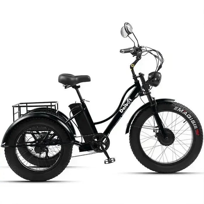 Vélo électrique adulte gros pneu montagne pour homme 48V 750W Tricycle