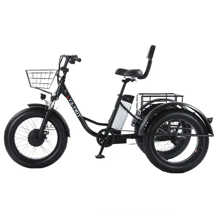 Tricycles électriques tout Terrain à gros pneus de 20 pouces pour adultes 48V 500W vélo électrique à trois roues avec siège de passager