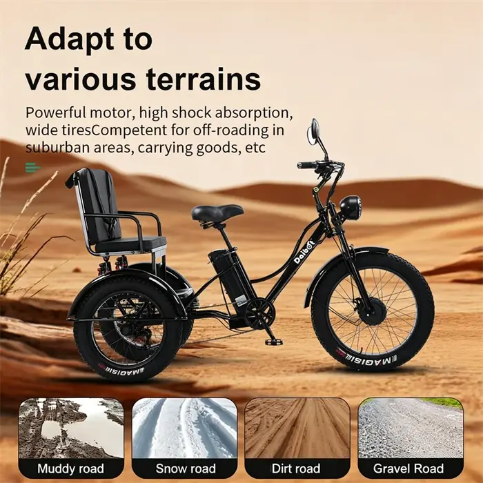Tricycle électrique puissant à 3 roues et pneus larges pour adultes, deux places, 750W, pour la montagne, la neige, la famille, vélo électrique, trike, pour homme