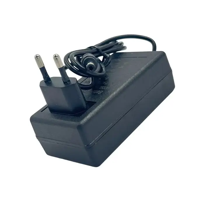 Chargeur de Scooter électrique 24.2V 1
