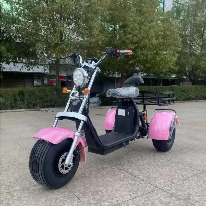 Tricycle électrique 12 pouces avec pneus larges pour adultes