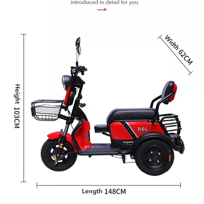 Tricycle électrique avec alarme antivol pour adultes