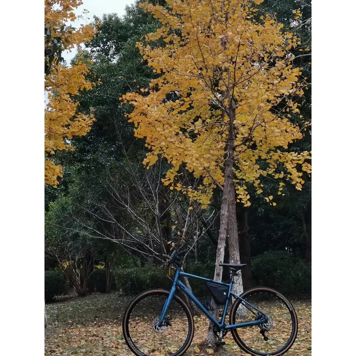 Cadre de vélo 700c рама onderdelen Б