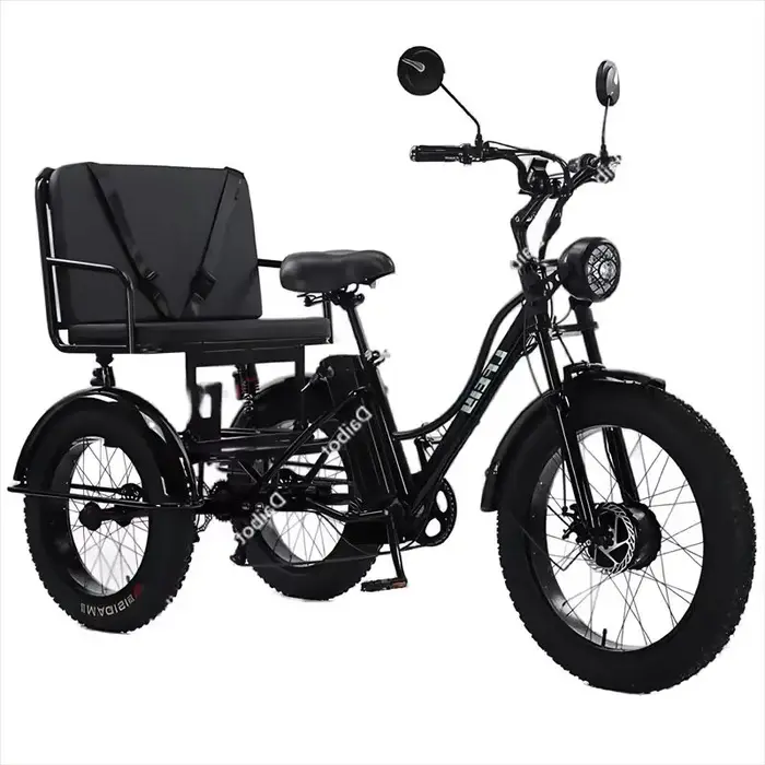 Tricycles électriques à trois roues avec siège de passager pour adulte 48v 750w 24 pouces gros pneu vélo électrique batterie amovible pour homme
