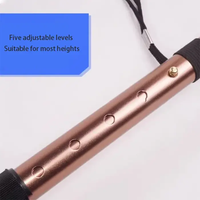 Bâtons de randonnée télescopiques ultralégers de qualité supérieure pour marche nordique camping et randonnée en couleur noir élégante