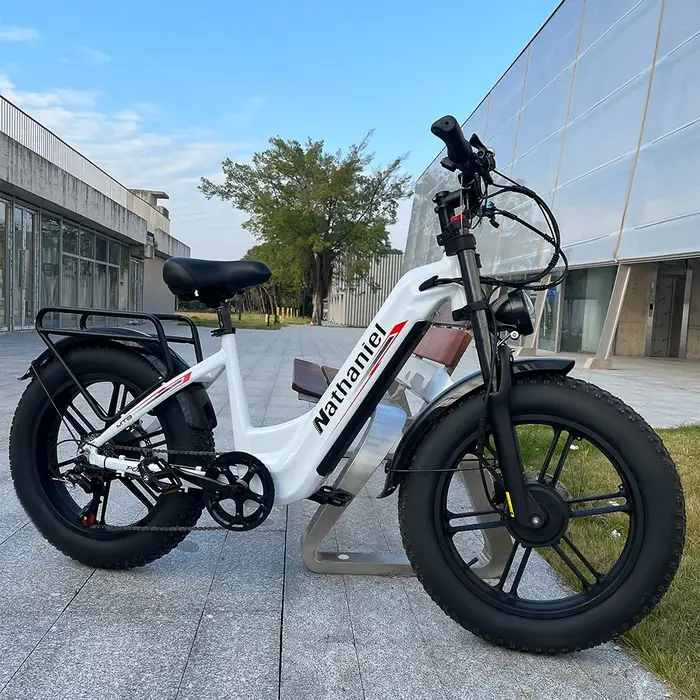 Vélo électrique Nathaniel SYR08 2000W à double moteur