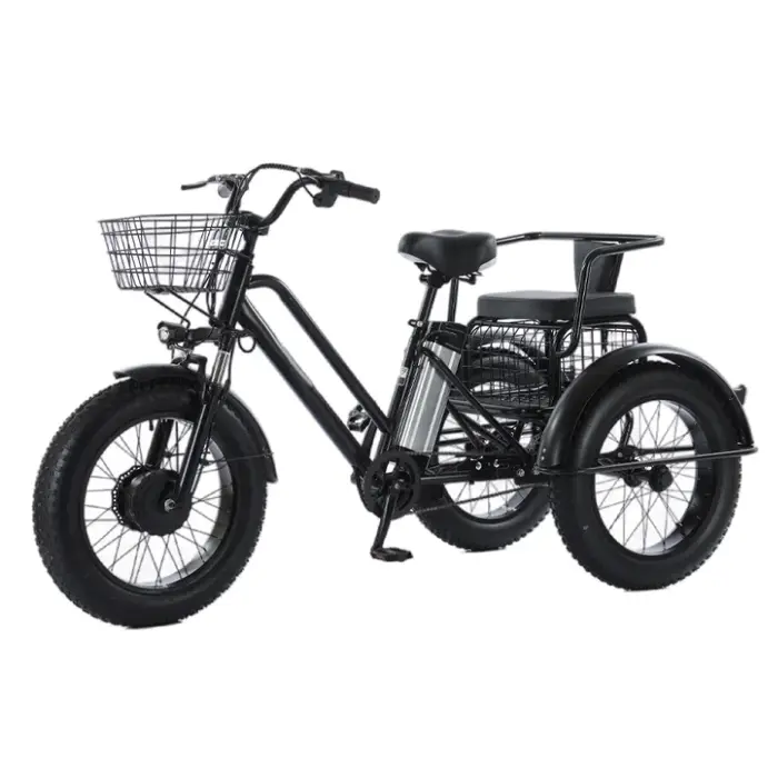 Tricycles électriques tout Terrain à gros pneus de 20 pouces pour adultes 48V 500W vélo électrique à trois roues avec siège de passager