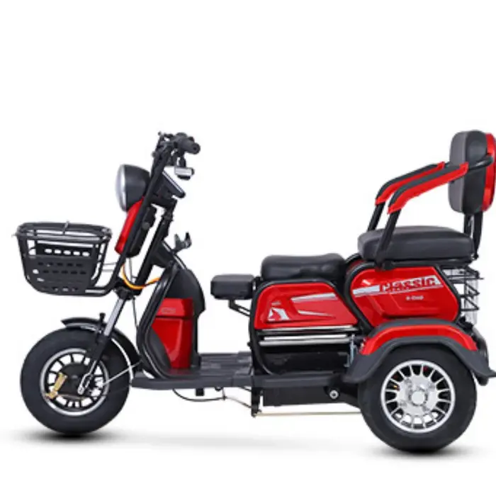 Tricycle électrique à 3 places pour adultes
