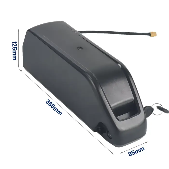 Polly-Batterie lithium-ion 48V