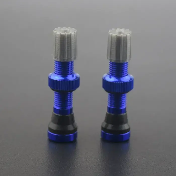 Pour-Schrader Valve Tubeless jante de vélo