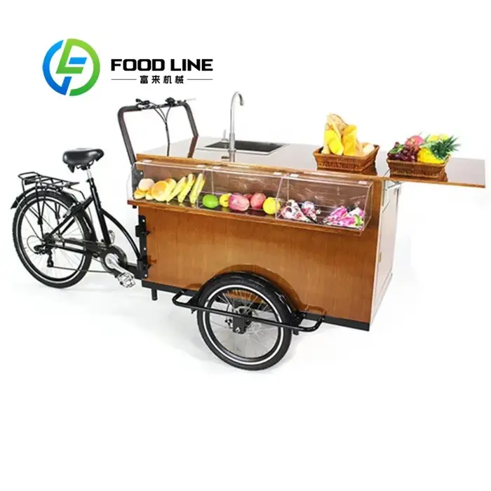 Vélo Cargo électrique pour adultes, Tricycle, kiosque, chariot d'exposition de nourriture Mobile, ca