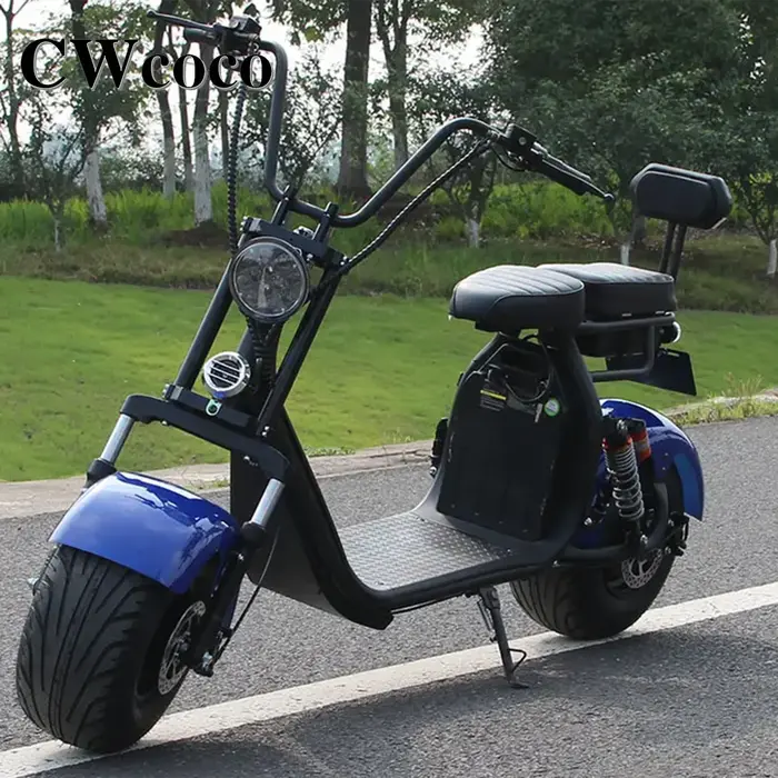 Poignée d'Accélérateur Universelle pour Moto Scooter et Vélo Électrique