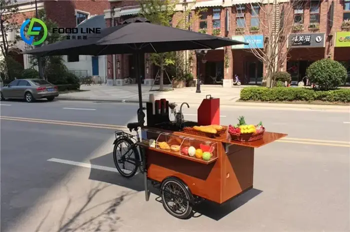 Vélo Cargo électrique pour adultes