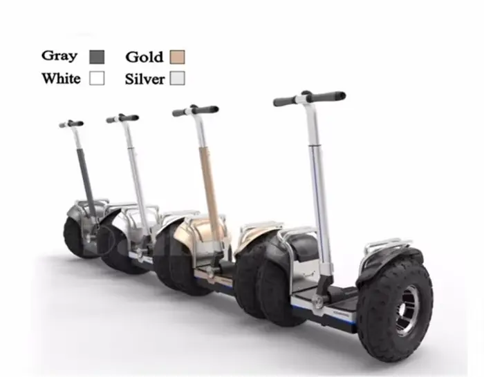 Daibot hors route adulte Scooter électrique 19 pouces auto équilibrage Scooters 1200W * 2