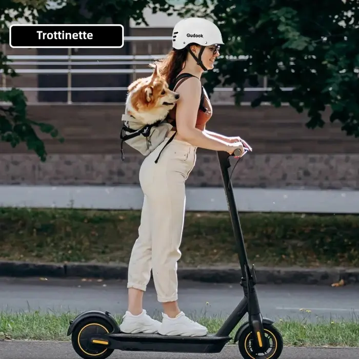 Casque de vélo pour adulte pour vélo