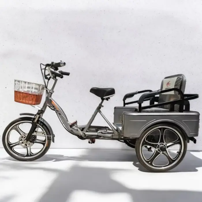 350W 48V nouveau Tricycle électrique à 3 roues vélo Cargo avec passagers pour personnes âgées famille Booster