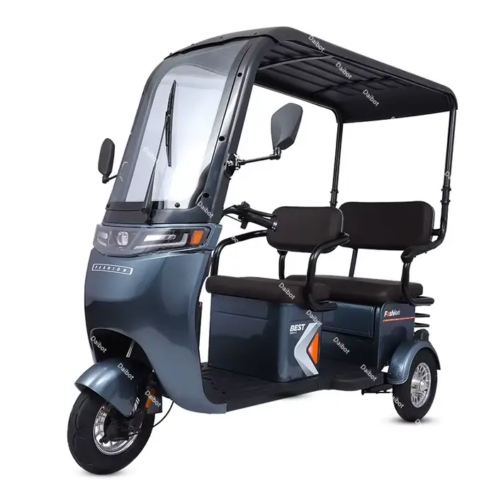 Tricycle électrique puissant à longue portée 1000W, avec hangar/stockage, pour adultes et personnes