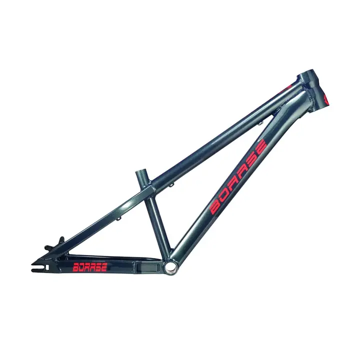 Boarse-Cadre VTT pour diabétique