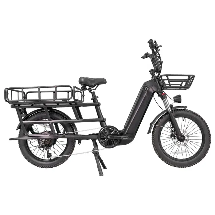 Vélo électrique à pneus larges 20*3.0 pouces, batterie lithium 48V 20Ah, vélo cargo électrique 500W
