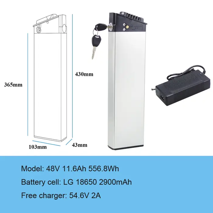 Lectric XP Lite 2.0 batterie Ebike 48V 14Ah 672Wh