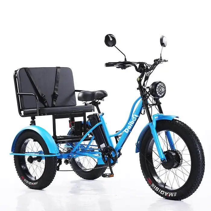 Tricycle électrique Cargo gros vélo pour deux personnes 2 places 750W 48V hors route puissant