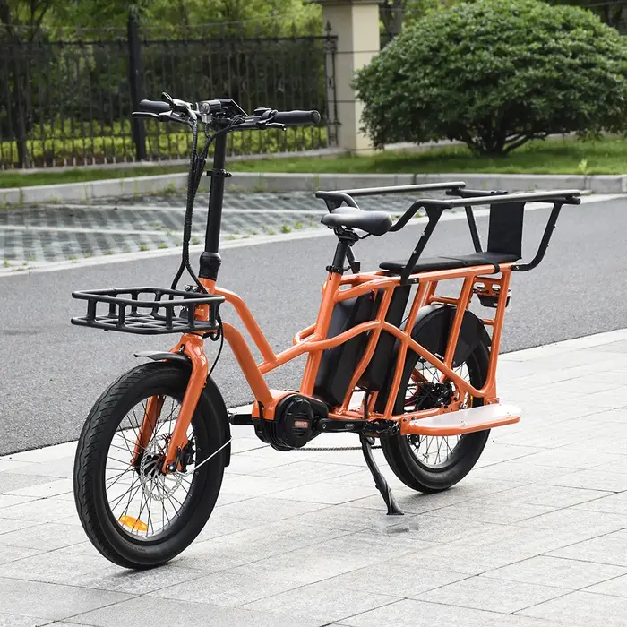 Vélo cargo électrique 500W à double batterie 48V et pneus de 20 pouces pour adulte, vente chaude en 