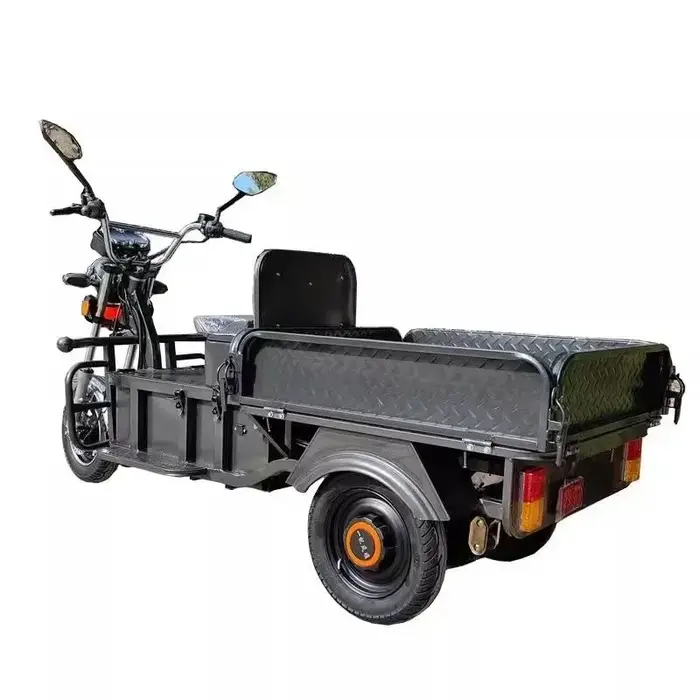 VIMODE 2024-Tricycle Cargo Électrique 1500W, RapKing Rapide, Véhicule pour la Livraison de Cargaison