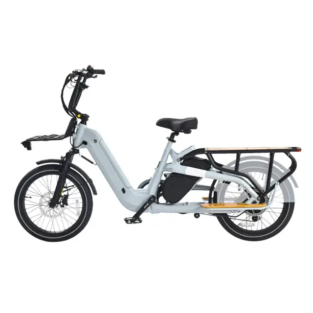 Vélo cargo électrique certifié UL avec moteur 750W, batterie double 48V 15Ah, vélo électrique hybrid
