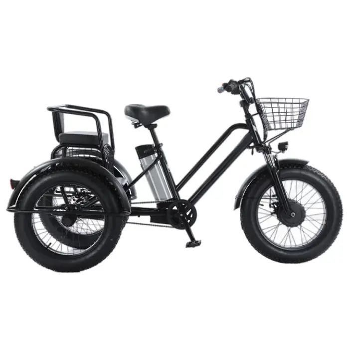 Tricycle électrique à 3 roues de vélo