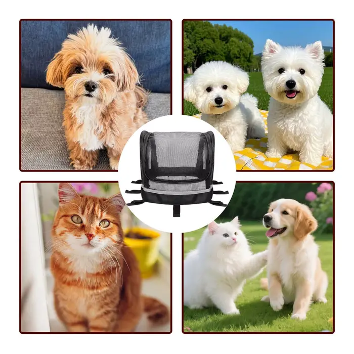 Panier de vélo pour chien et chat avec fenêtre, support de guidon pour vélo, idéal pour les loisirs quotidiens, les trajets domicile-travail et les activités urbaines en extérieur