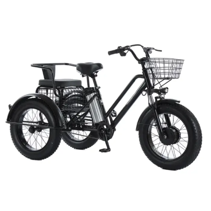 Gros vélo vélo électrique 20 pouces neige puissant homme 48V 500W Tricycle électrique cargo avec siège passager pour adultes personnes âgées