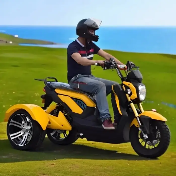 Tricycle électrique haute vitesse 70 km/h