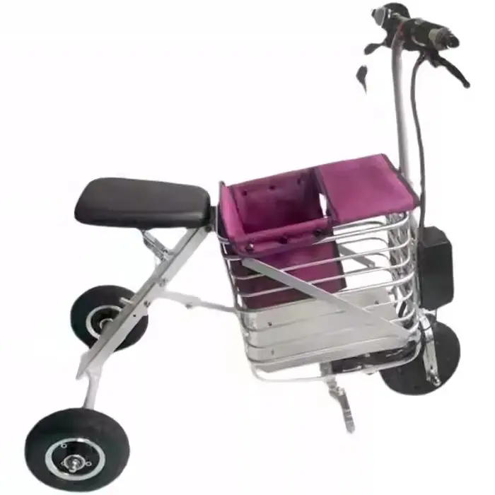 Tricycle électrique Parent-enfant