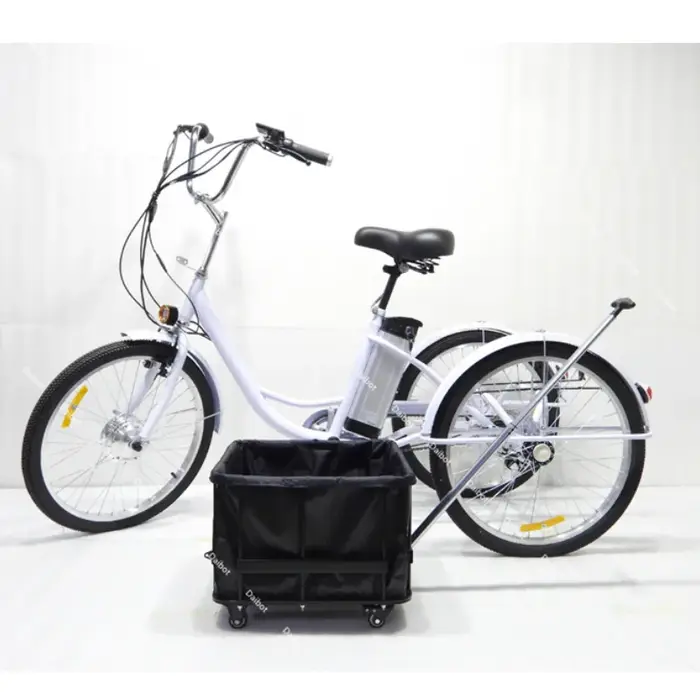 Vélo électrique familial à 3 roues avec Aduts de fret pour enfants