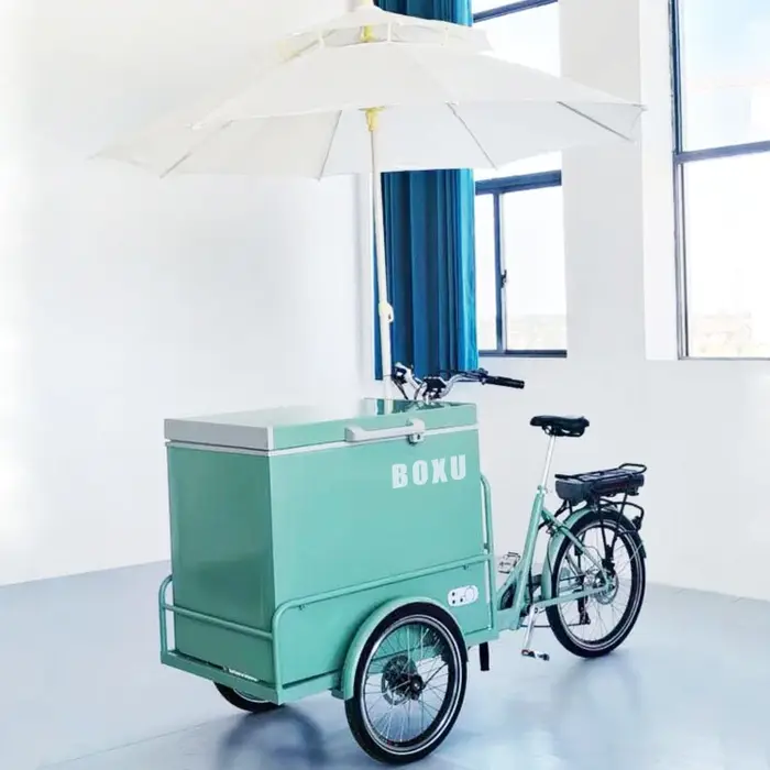 Vélo électrique Cargo à chargement frontal, livraison des aliments, 3 roues, pédale de réfrigérateur