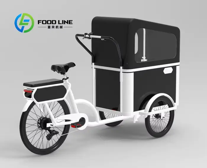 Vélo cargo à pédale électrique à 3 roues avec moteur arrière pour transporter des vélos électriques pour animaux de compagnie