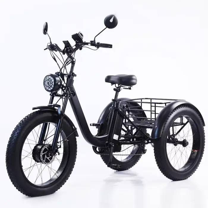 Vélo électrique 24 pouces pour homme et femme, bicyclette à trois roues, pour la neige et la montagn
