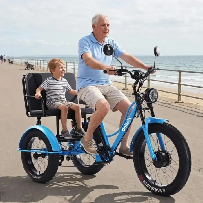 Tricycle électrique Cargo gros vélo pour deux personnes 2 places 750W 48V hors route puissant