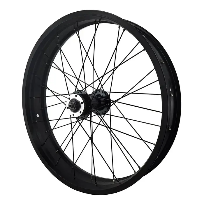 Roue avant de vélo Fat Bike 20x4.0 avec moyeu à double roulement