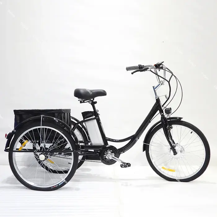 Vélo électrique Cargo à trois roues pour adultes âgés e vélos 350W Tricycle