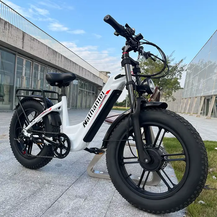 Vélo électrique adulte Nathaniel SYR08