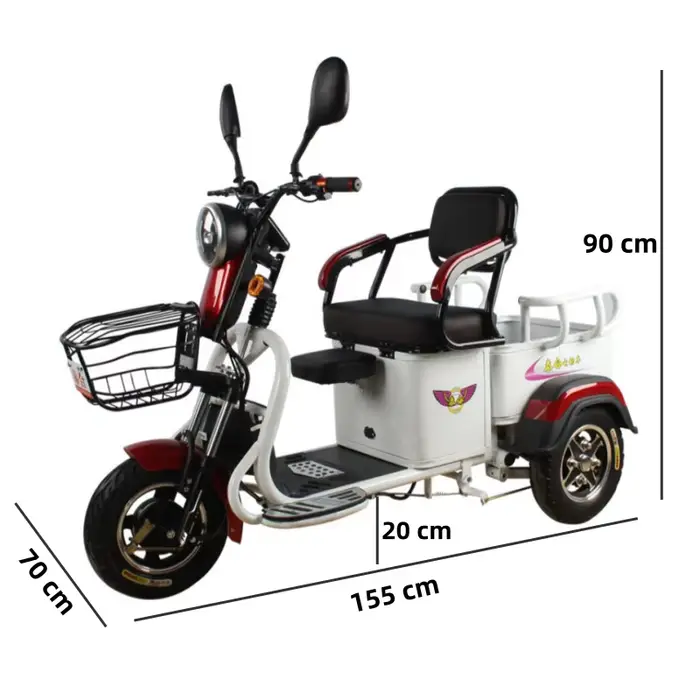 Tricycle électrique à 3 roues pour adultes