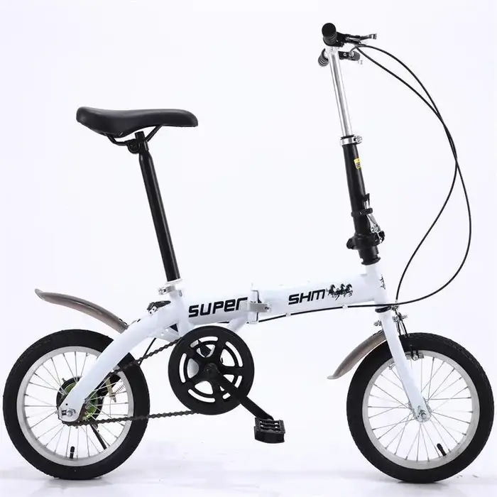 Fahrrad-Vélo Pliant Portable Ultra observateur pour Adultes, Vitesse Unique, Vitesse Variable, Condu
