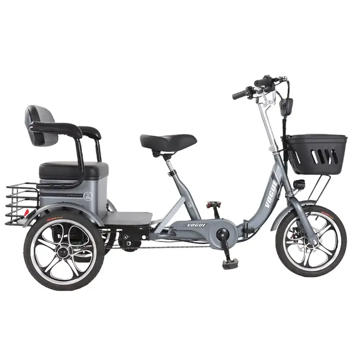 Tricycle électrique pliant Daibot pour 2 personnes avec siège passager moteur 400W batterie lithium 20AH cadre acier au carbone rouge gris beige pour ville et famille