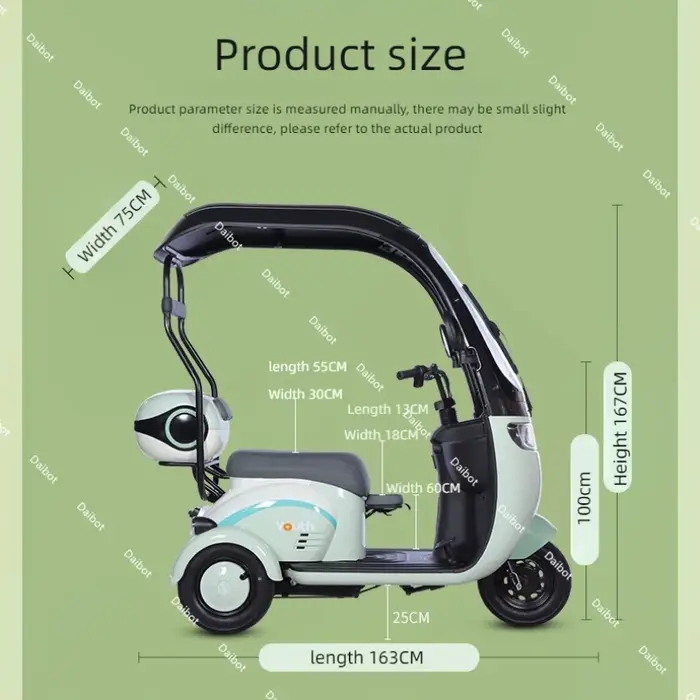 Tricycle électrique injuste pour adultes avec siège arrière